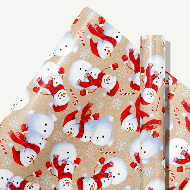 Picture of Mr. snowman